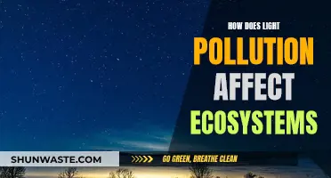 Light Pollution's Impact: Ecosystems in Danger