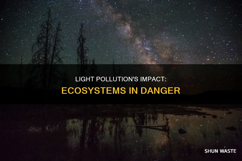 how does light pollution affect ecosystems