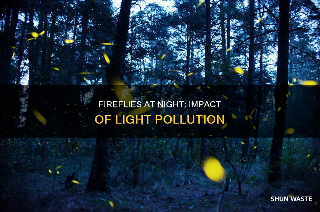 how does light pollution affect fireflies