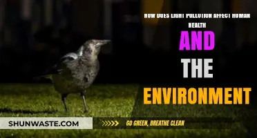 Light Pollution's Impact: Health, Environment, and Ecosystem Disruption Explained