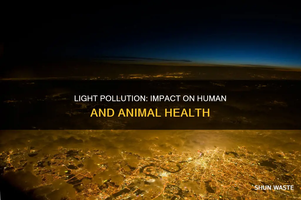 how does light pollution affect humans and animals