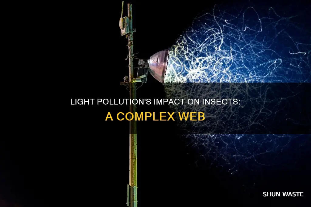 how does light pollution affect insects