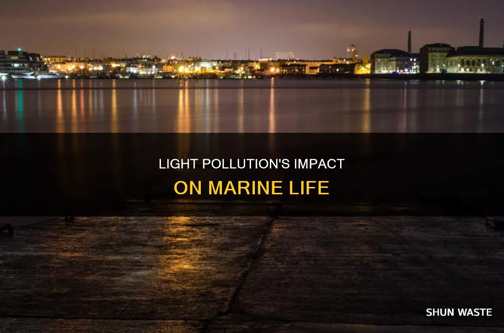 how does light pollution affect marine life