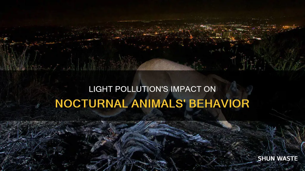 how does light pollution affect nocturnal animals