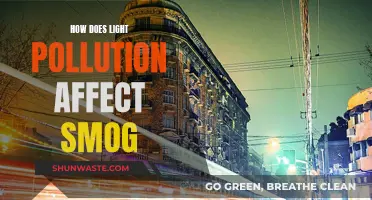 Light Pollution's Impact: Smog's Unseen Culprit