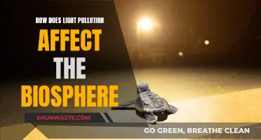 Light Pollution's Impact on the Biosphere