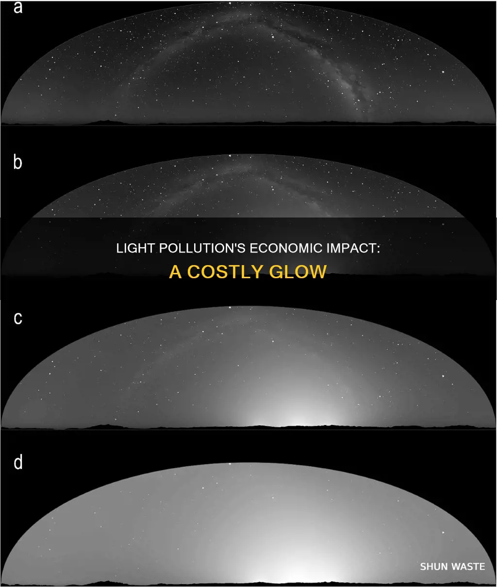 how does light pollution affect the economy