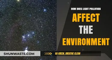 Light Pollution's Hidden Impact: Disrupting Ecosystems and Altering Environments
