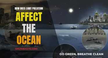 Ocean's Woes: Light Pollution's Impact Revealed