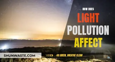 Light Pollution: Impacting Our Health and Environment