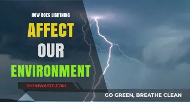 Lightning's Environmental Impact: Effects on Ecosystems, Atmosphere, and Wildlife