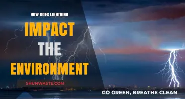 Lightning's Environmental Impact: Effects on Ecosystems, Soil, and Atmosphere