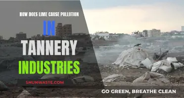 Lime's Environmental Impact: Unveiling Tannery Pollution Secrets