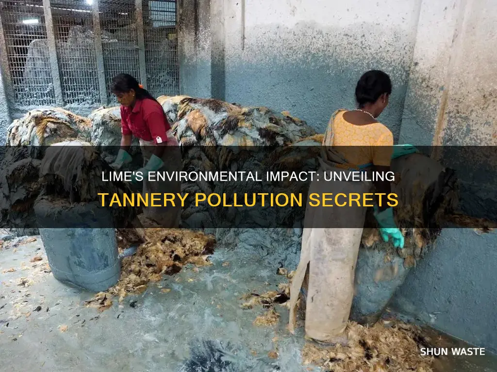 how does lime cause pollution in tannery industries