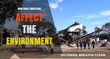 Limestone's Environmental Impact: Benefits, Drawbacks, and Sustainable Practices