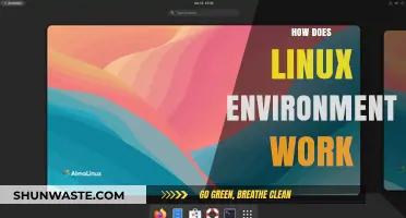 Understanding the Linux Environment: Components, Functionality, and Workflow Explained