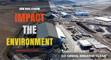 Lithium's Environmental Impact: Extraction, Disposal, and Ecosystem Effects Explored