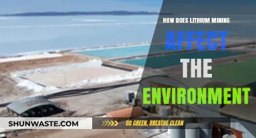Lithium Mining's Environmental Impact: Consequences for Ecosystems and Communities