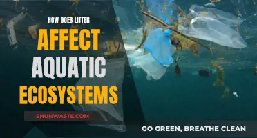 Litter's Impact on Aquatic Ecosystems: Understanding the Devastating Effects