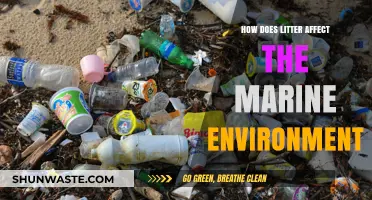 Litter's Devastating Impact: How Trash Destroys Our Marine Ecosystems