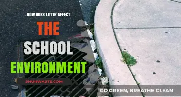 Litter's Impact: How Trash Disrupts Our School Environment and Learning
