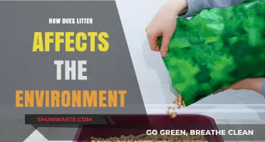 Litter's Devastating Impact: How Trash Destroys Ecosystems and Wildlife
