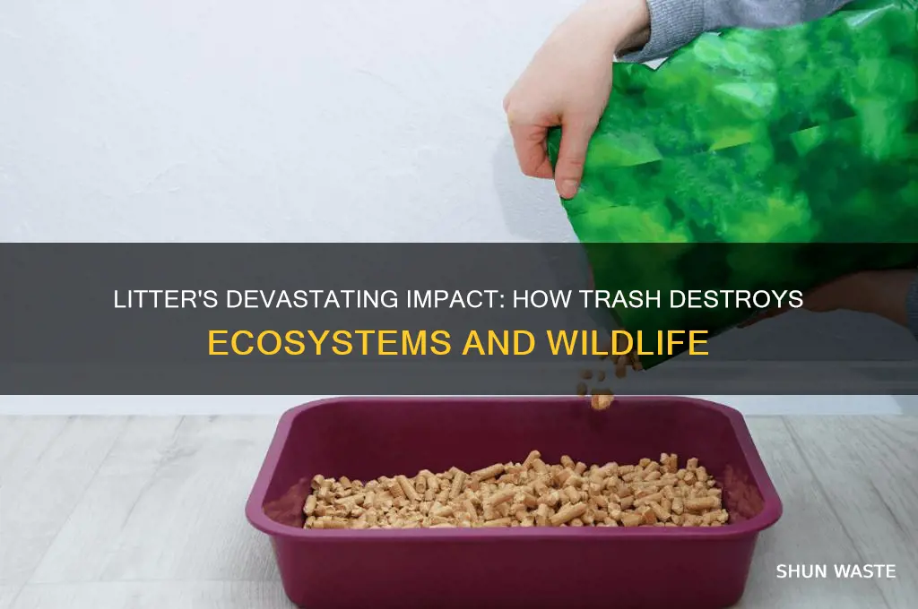 how does litter affects the environment