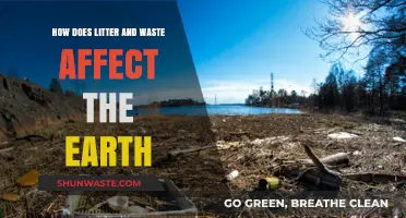 Litter's Impact: How Waste Destroys Ecosystems and Threatens Our Planet