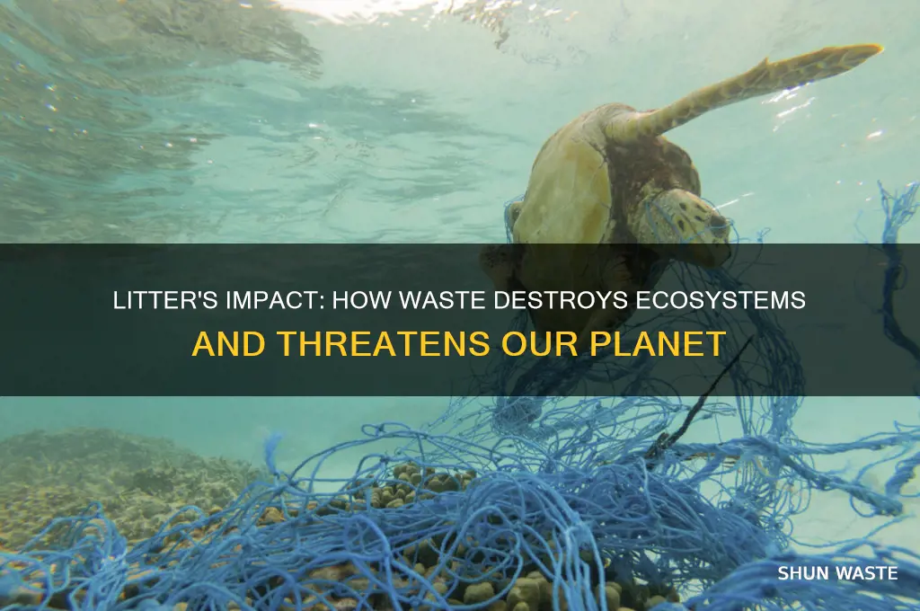 how does litter and waste affect the earth