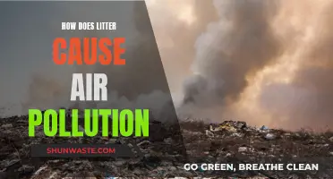 Litter's Impact: Air Pollution and Its Causes