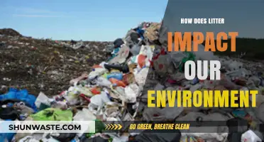 Litter's Devastating Effects: How Trash Harms Our Environment and Wildlife