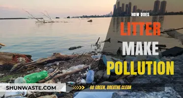 Litter's Impact: Understanding Pollution's Complex Web