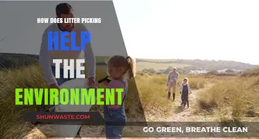 Litter Picking: A Simple Act with Big Environmental Benefits