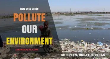 Litter's Impact: Environmental Pollution and its Devastating Effects