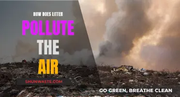 Litter's Impact: Air Pollution and Its Devastating Effects
