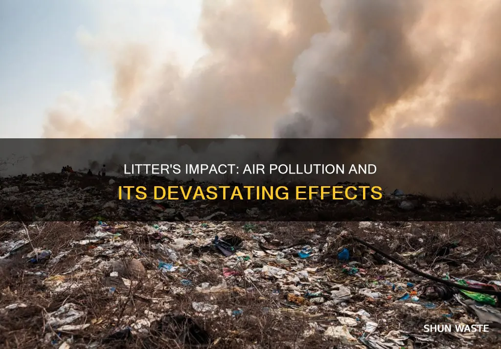 how does litter pollute the air