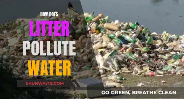 Litter's Lethal Legacy: How Trash Chokes Our Waterways