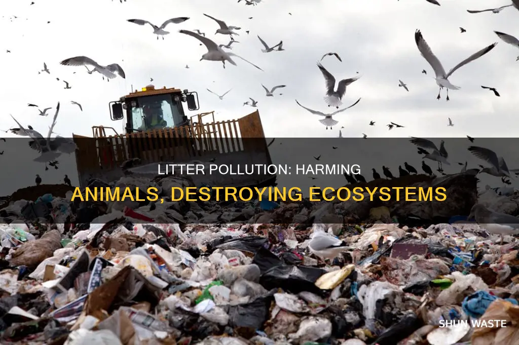 how does litter pollution affect animals