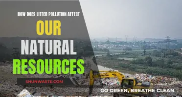 Litter Pollution: Harming Our Natural Resources