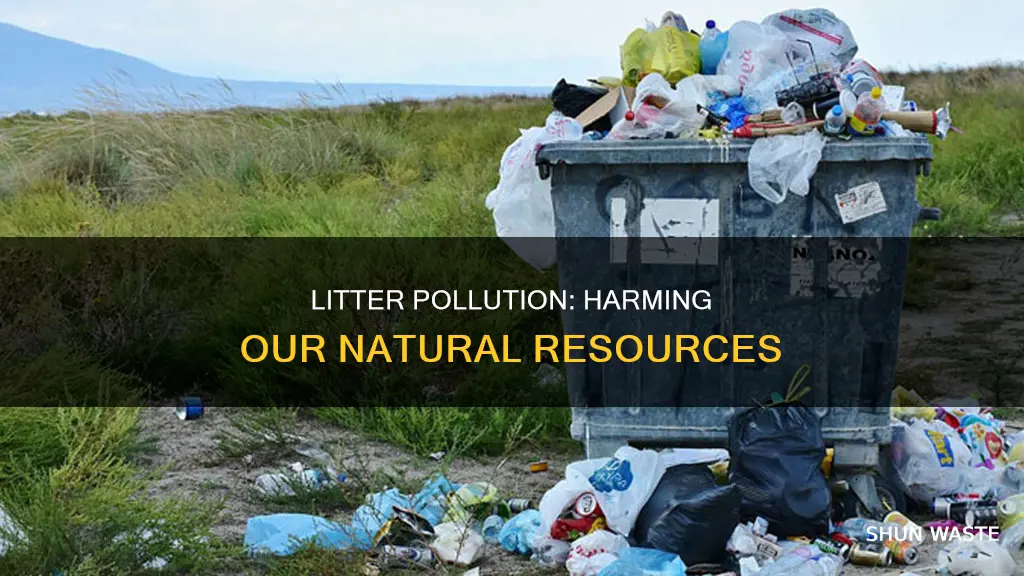 how does litter pollution affect our natural resources