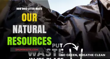 Litter's Devastating Impact: Wasting Earth's Precious Natural Resources