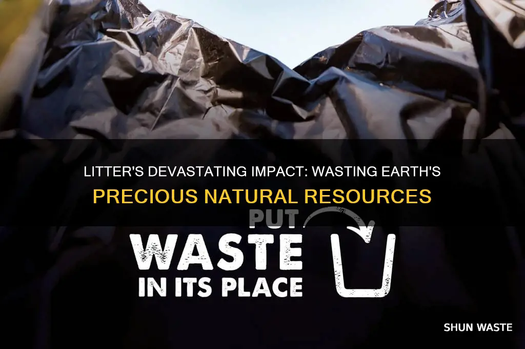 how does litter waste our natural resources