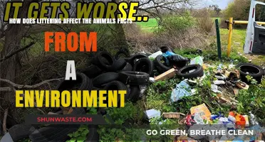 Littering's Deadly Impact: How Trash Harms Wildlife and Ecosystems