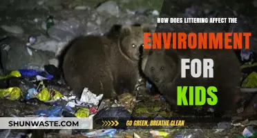 Littering's Impact: How Trash Harms Our Planet and Wildlife for Kids