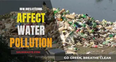 Litter's Impact: Water Pollution and its Devastating Effects