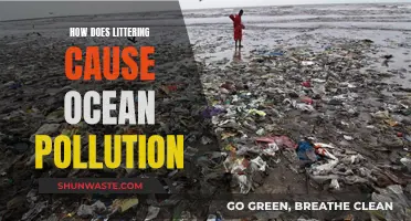 Littering's Impact: From Land to Sea, a Pollution Crisis