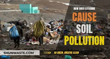 Litter's Impact: How Trash Contaminates Our Soil