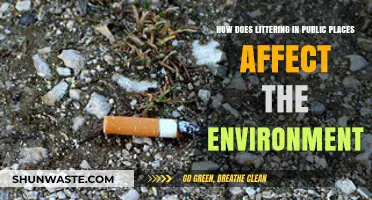 Littering in Public Spaces: Environmental Consequences and Sustainable Solutions