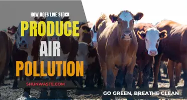 Livestock Air Pollution: Understanding the Impact