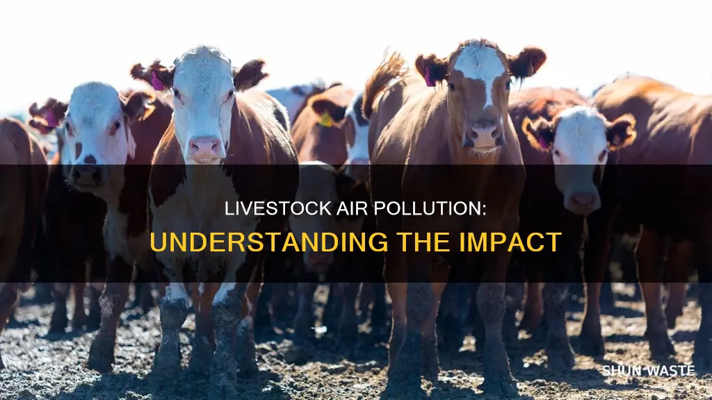 how does live stock produce air pollution